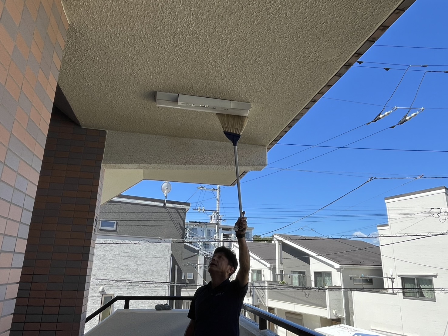 蜘蛛のとり