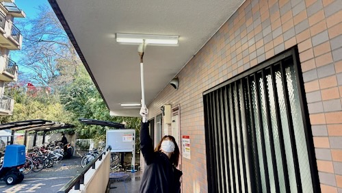 画像の説明