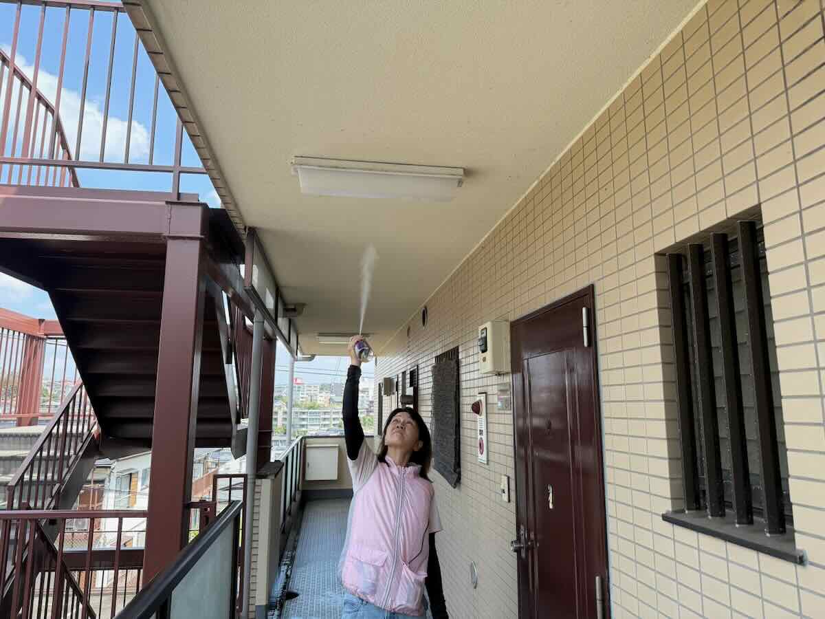 蜘蛛の巣取り作業
