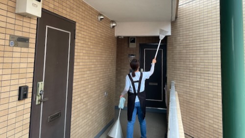 蜘蛛の巣の除去