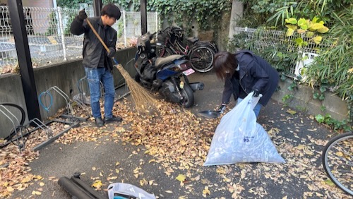 落ち葉の処理