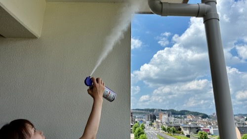 蜘蛛の巣スプレー