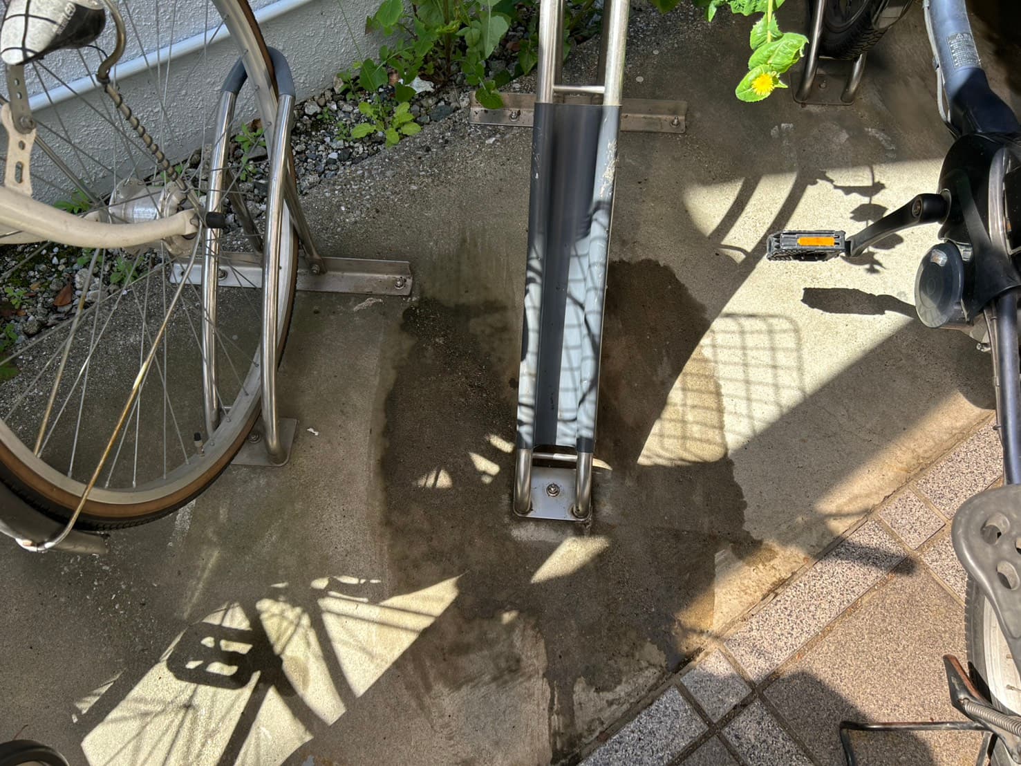 マンション駐輪場の鳥のフンの処理　デッキブラシ作業